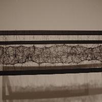 _IGP3140.jpg