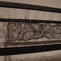 _IGP3142.jpg